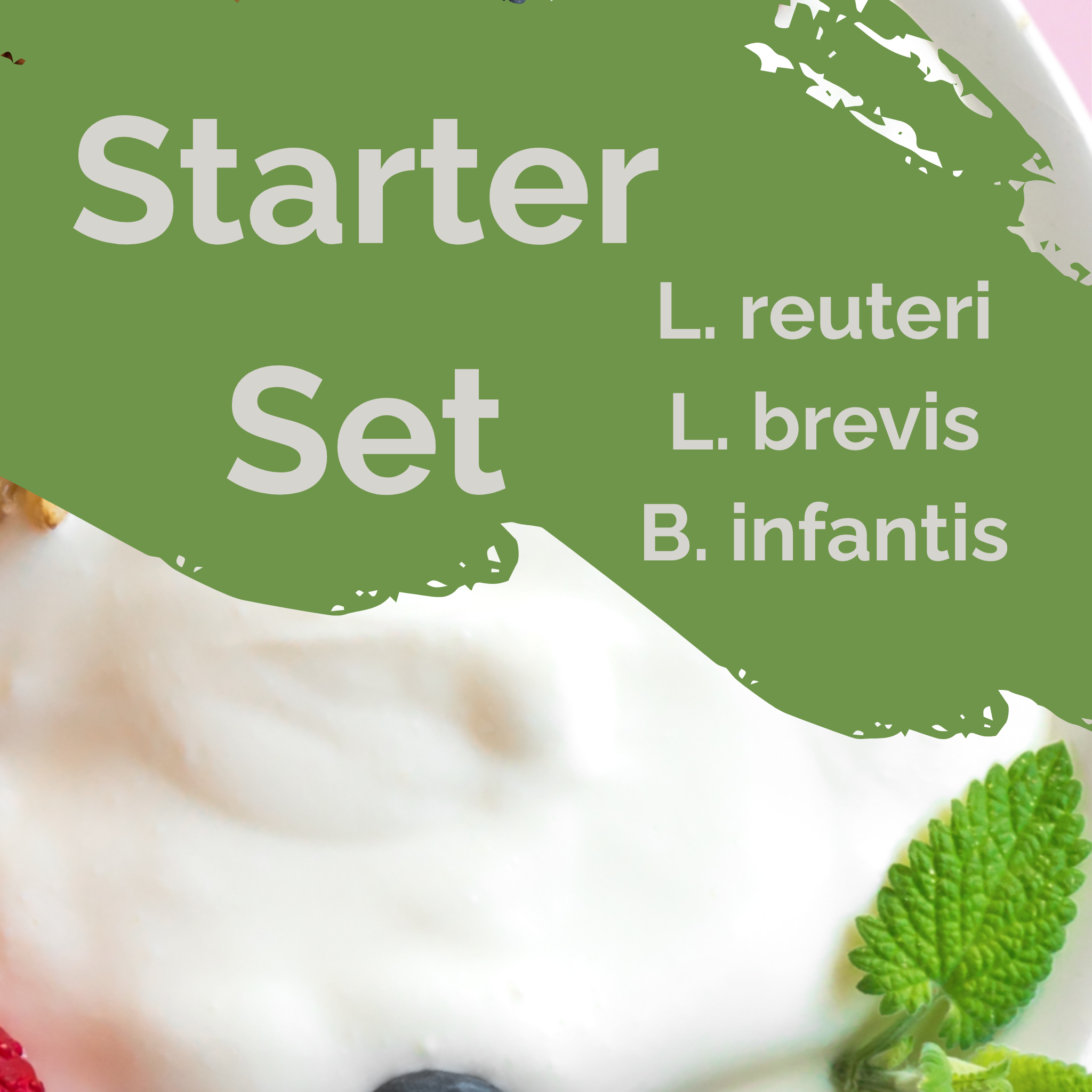 L. reuteri + L. brevis + B. infantis | مجموعة بدء الزبادي | أمعاء دماغ | مستعمرات بدء | عبوة من 3